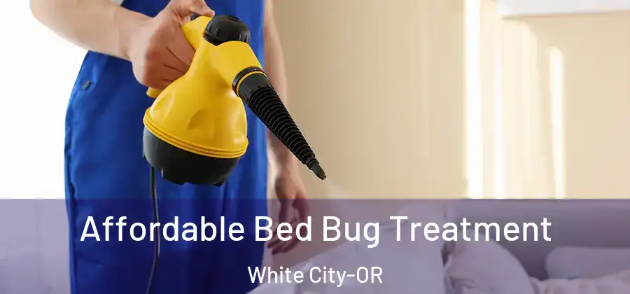 Affordable Bed Bug Treatment White City-OR