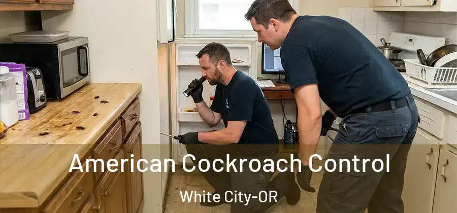 American Cockroach Control White City-OR