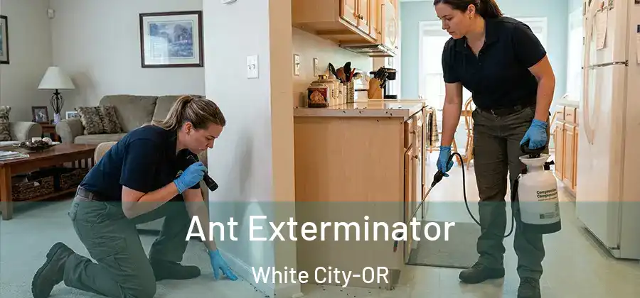  Ant Exterminator White City-OR