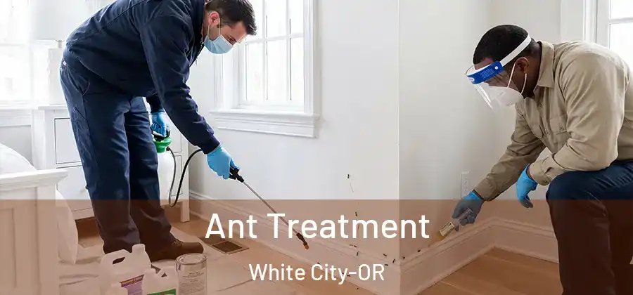 Ant Treatment White City-OR