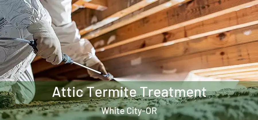 Attic Termite Treatment White City-OR