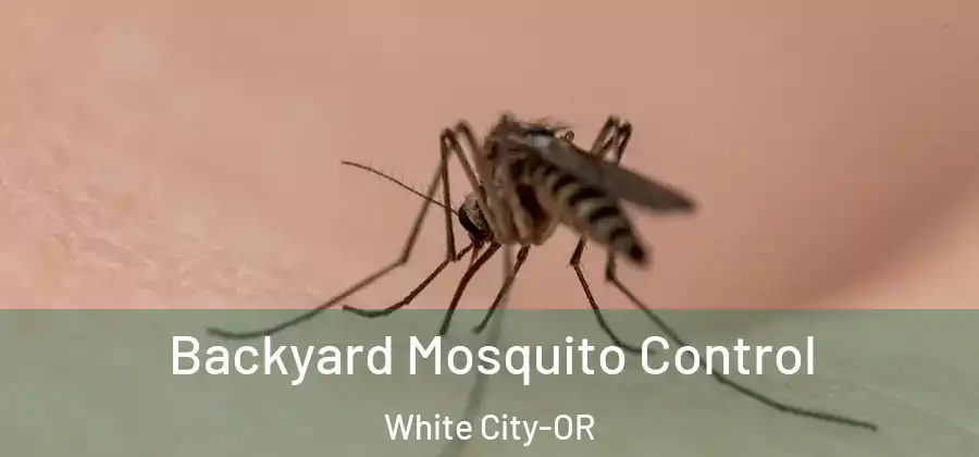  Backyard Mosquito Control White City-OR