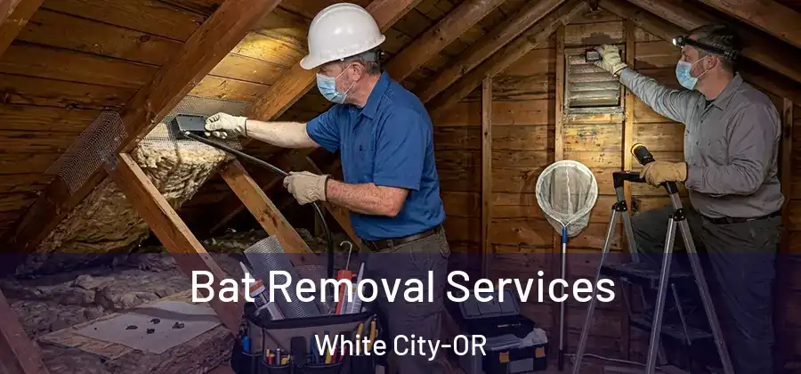 Bat Removal Services White City-OR