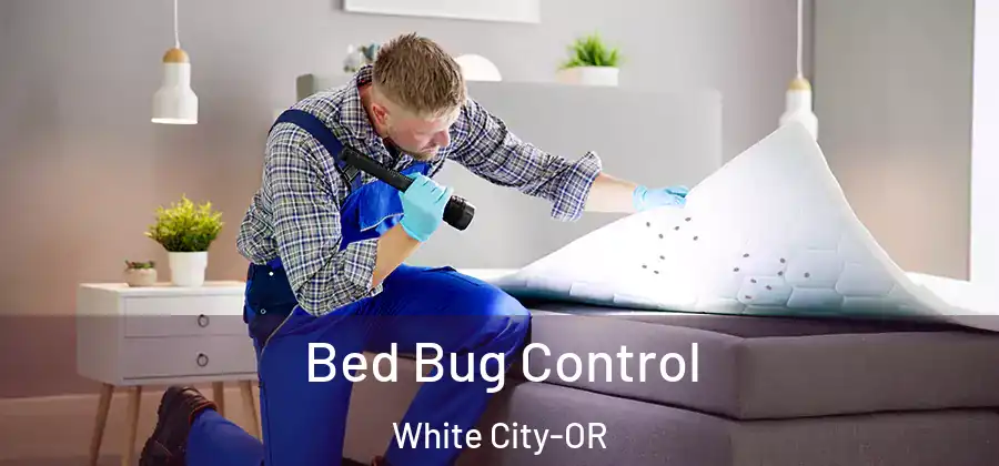 Bed Bug Control White City-OR