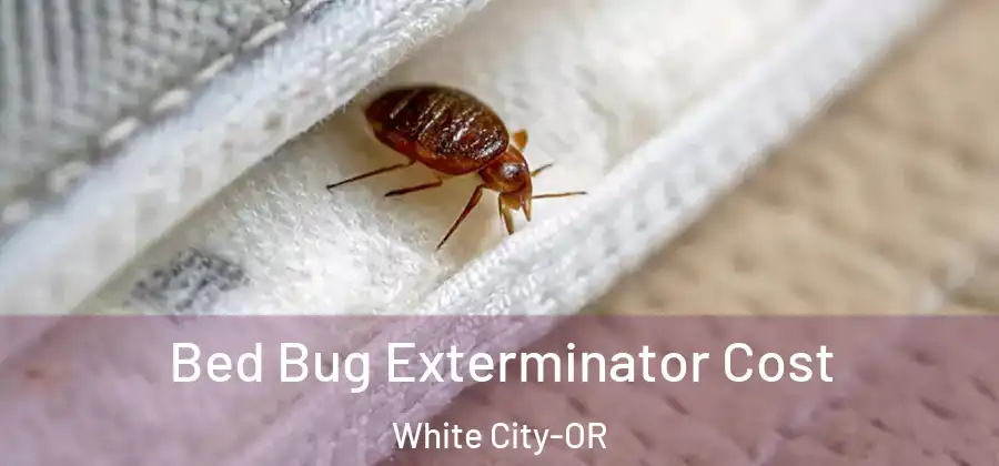  Bed Bug Exterminator Cost White City-OR