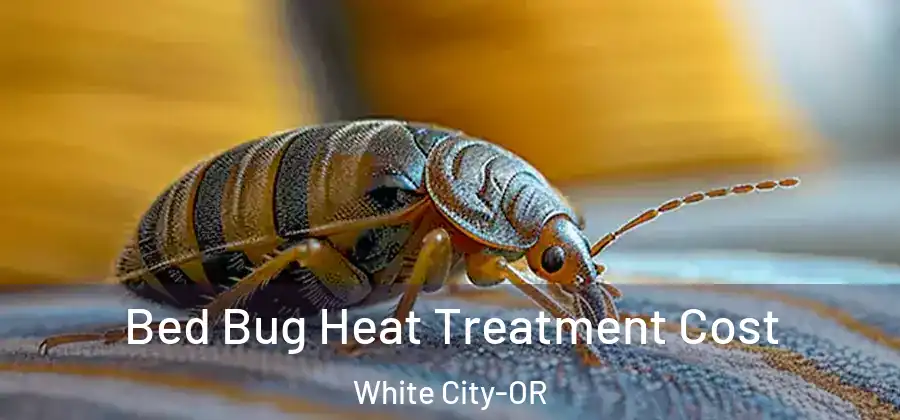 Bed Bug Heat Treatment Cost White City-OR