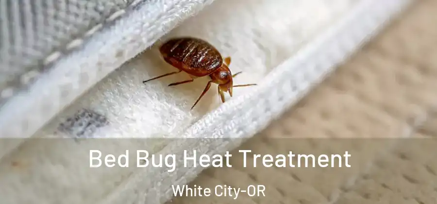 Bed Bug Heat Treatment White City-OR