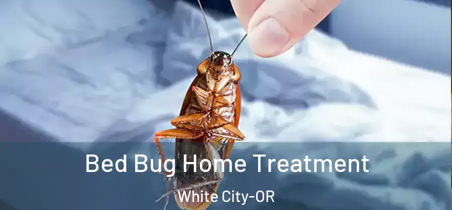 Bed Bug Home Treatment White City-OR
