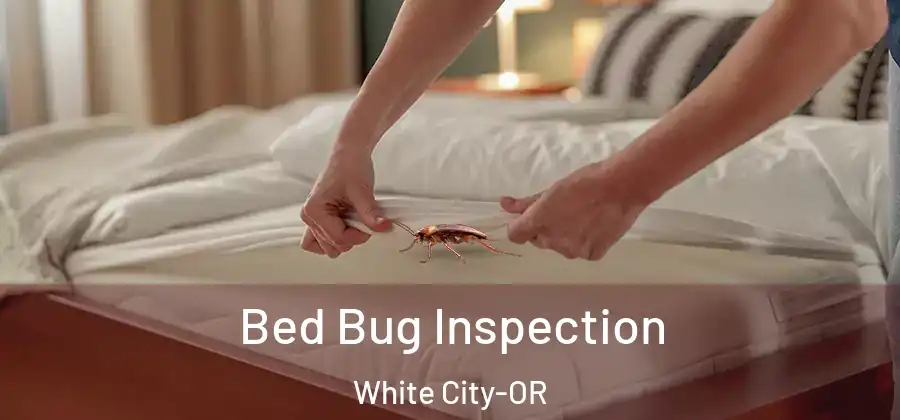 Bed Bug Inspection White City-OR