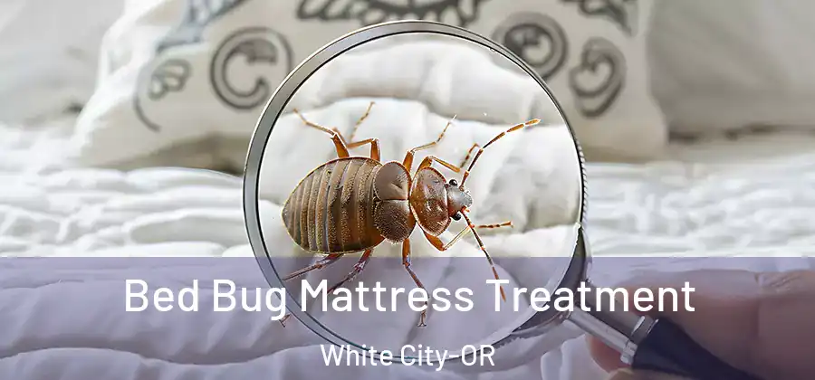 Bed Bug Mattress Treatment White City-OR