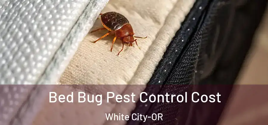  Bed Bug Pest Control Cost White City-OR