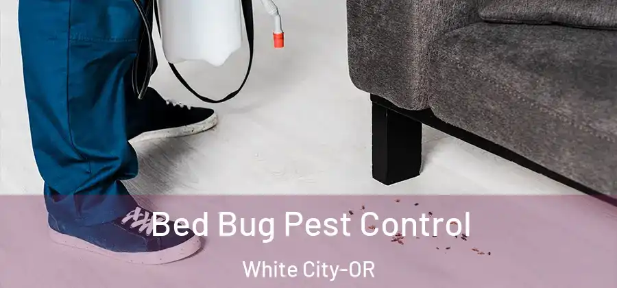  Bed Bug Pest Control White City-OR