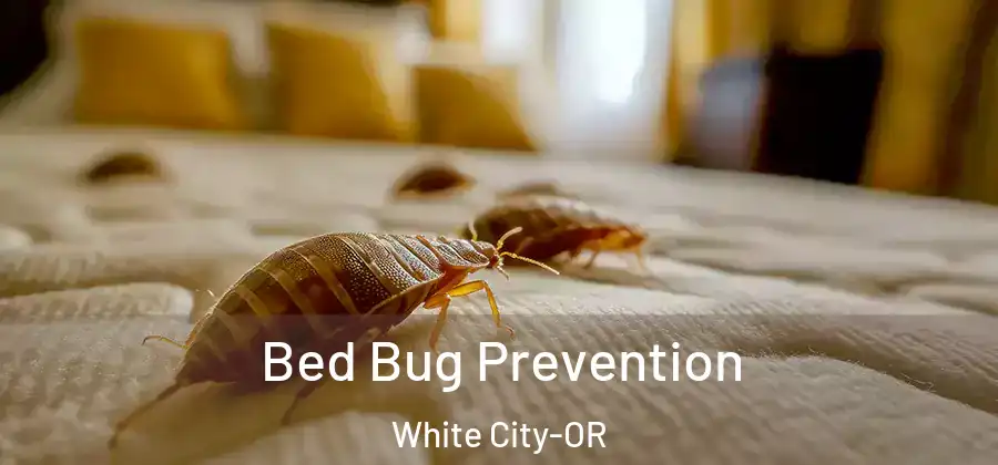 Bed Bug Prevention White City-OR