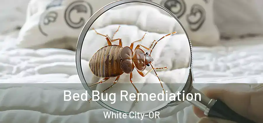 Bed Bug Remediation White City-OR