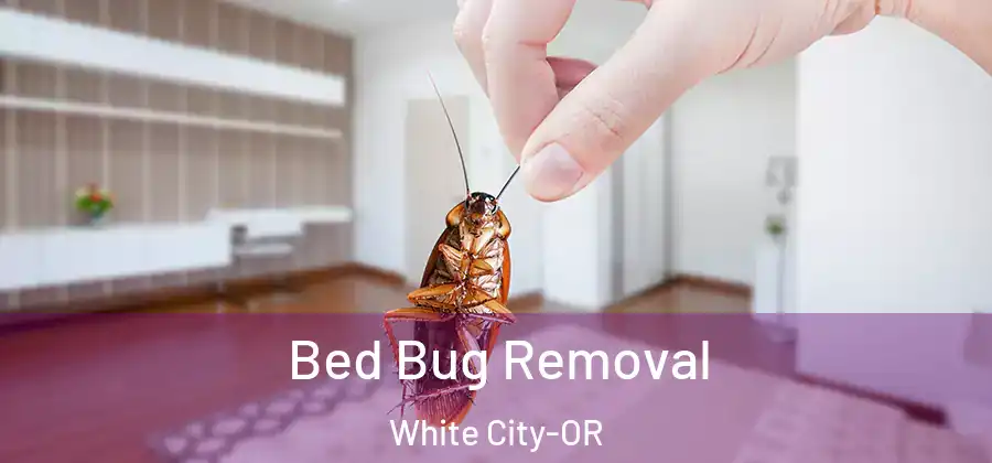 Bed Bug Removal White City-OR