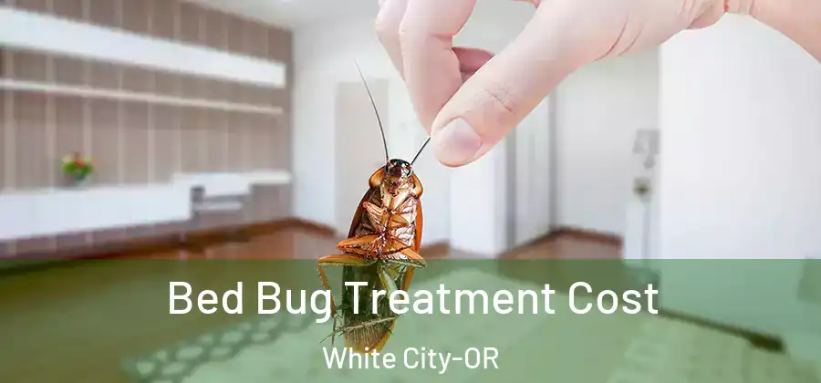  Bed Bug Treatment Cost White City-OR