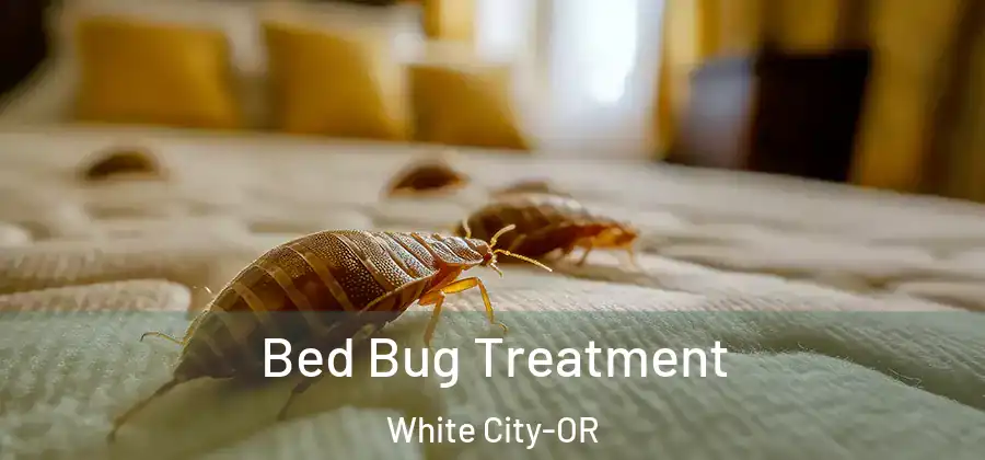  Bed Bug Treatment White City-OR