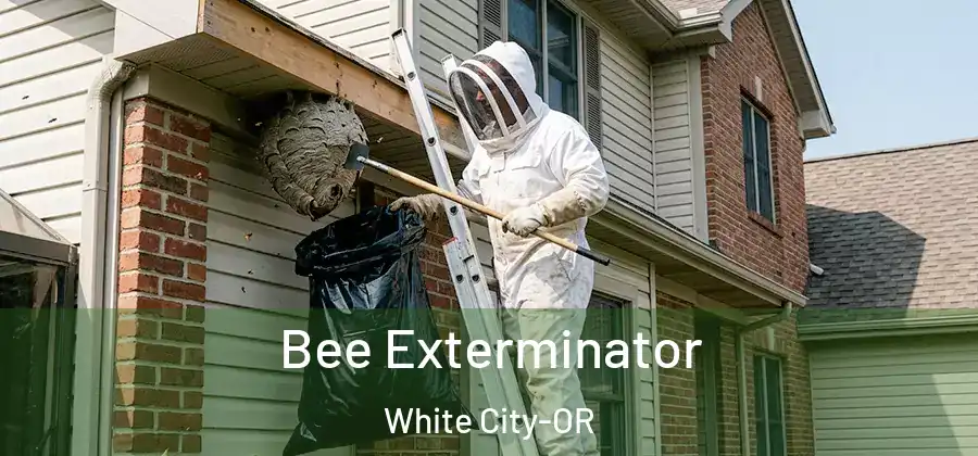 Bee Exterminator White City-OR