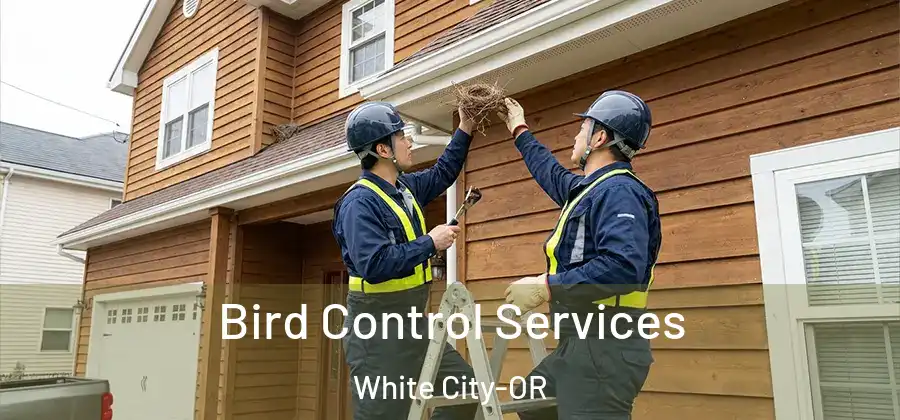 Bird Control Services White City-OR