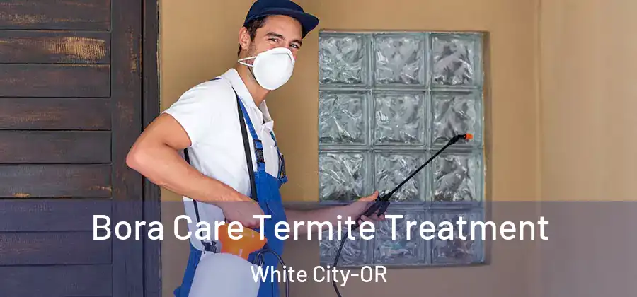 Bora Care Termite Treatment White City-OR