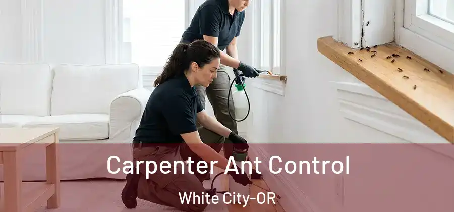 Carpenter Ant Control White City-OR