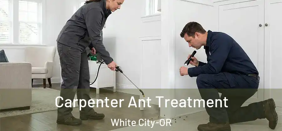 Carpenter Ant Treatment White City-OR