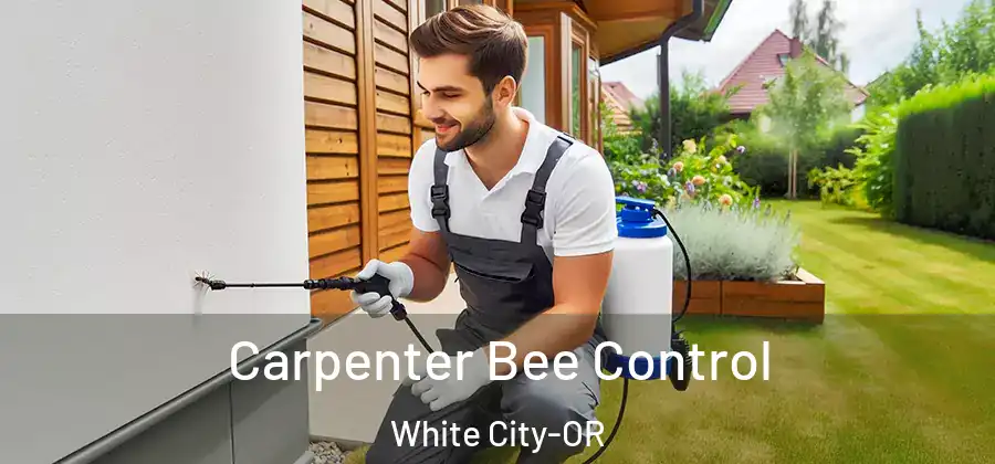 Carpenter Bee Control White City-OR