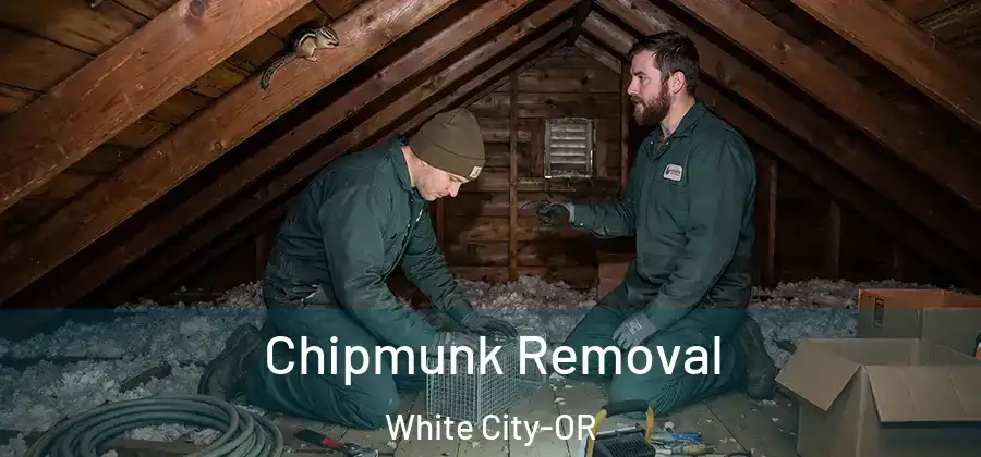  Chipmunk Removal White City-OR
