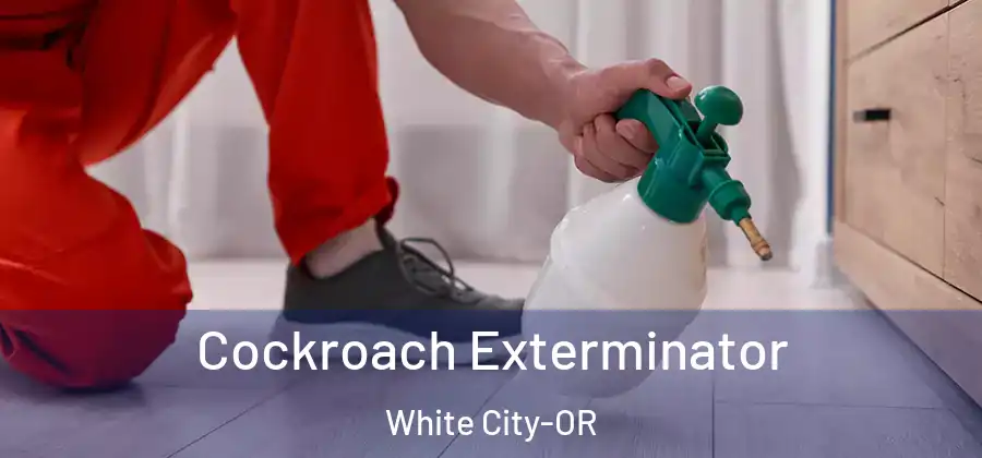 Cockroach Exterminator White City-OR