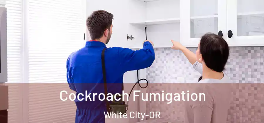  Cockroach Fumigation White City-OR
