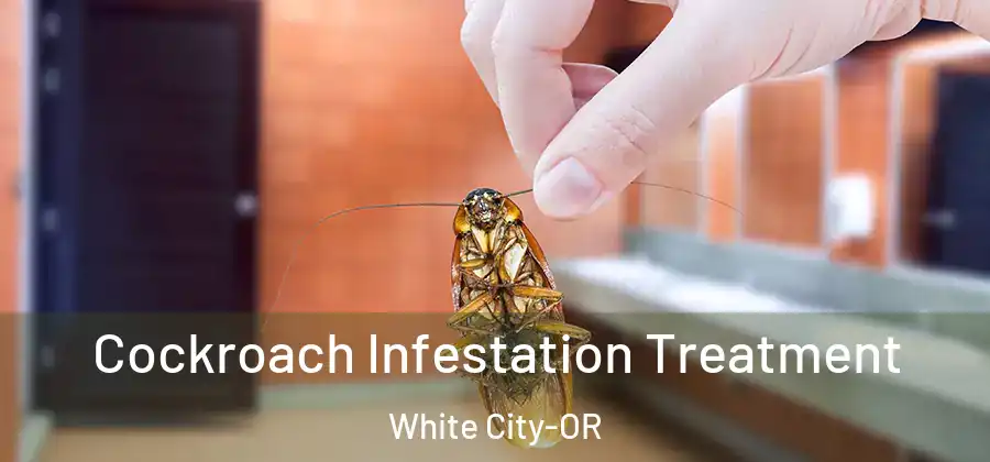 Cockroach Infestation Treatment White City-OR