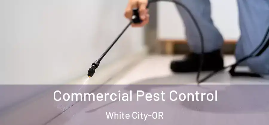 Commercial Pest Control White City-OR