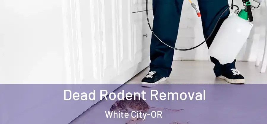  Dead Rodent Removal White City-OR