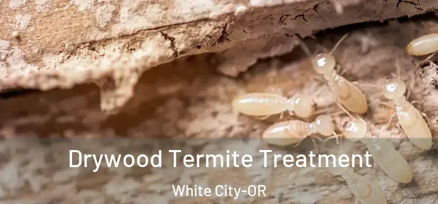 Drywood Termite Treatment White City-OR