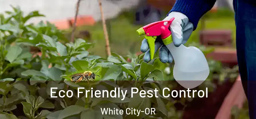 Eco Friendly Pest Control White City-OR