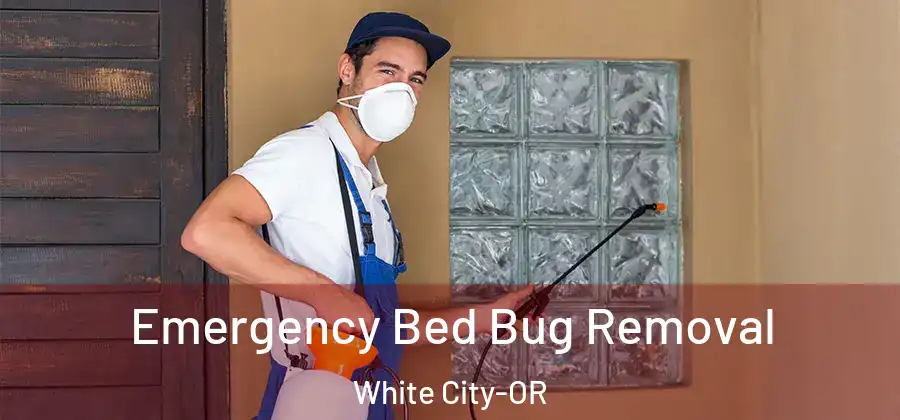  Emergency Bed Bug Removal White City-OR
