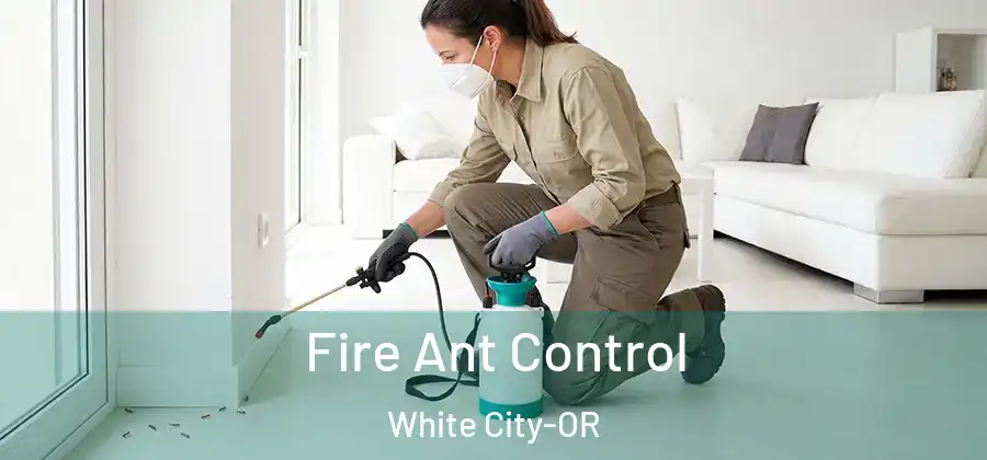 Fire Ant Control White City-OR