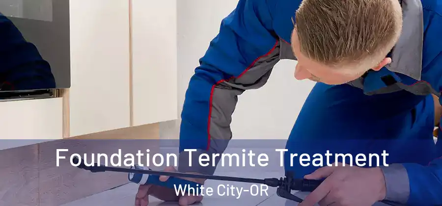  Foundation Termite Treatment White City-OR