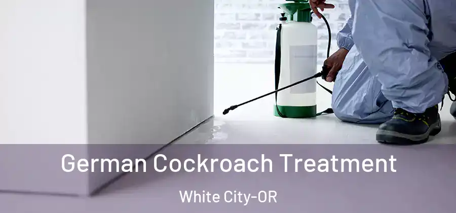 German Cockroach Treatment White City-OR