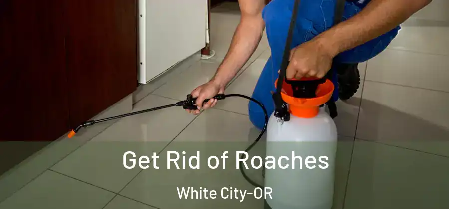 Get Rid of Roaches White City-OR