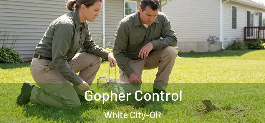 Gopher Control White City-OR