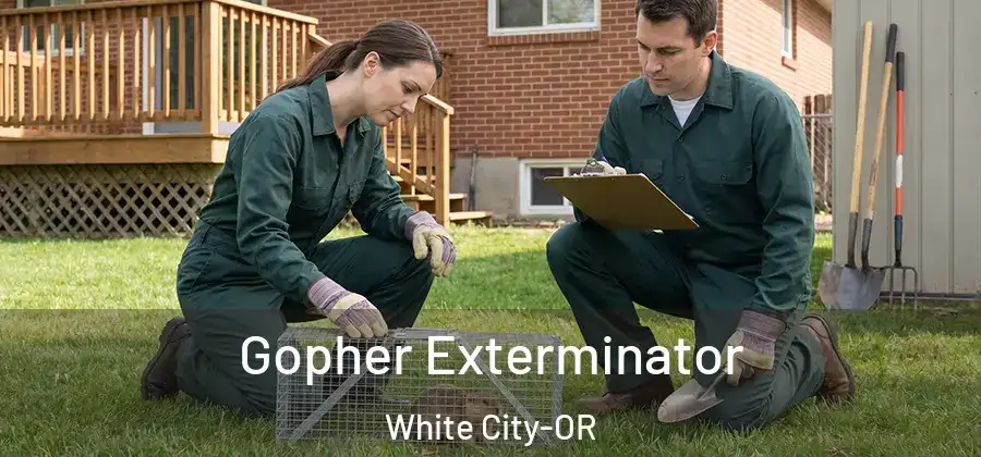 Gopher Exterminator White City-OR