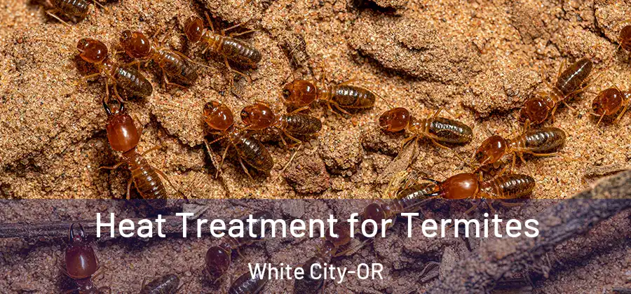 Heat Treatment for Termites White City-OR