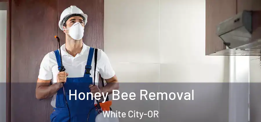 Honey Bee Removal White City-OR