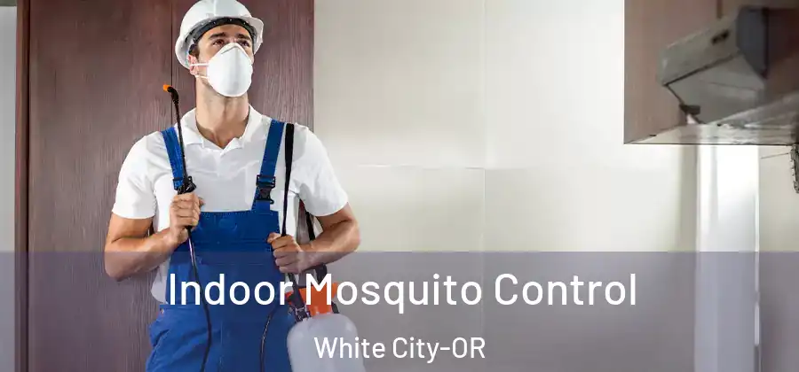  Indoor Mosquito Control White City-OR