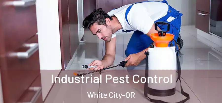 Industrial Pest Control White City-OR