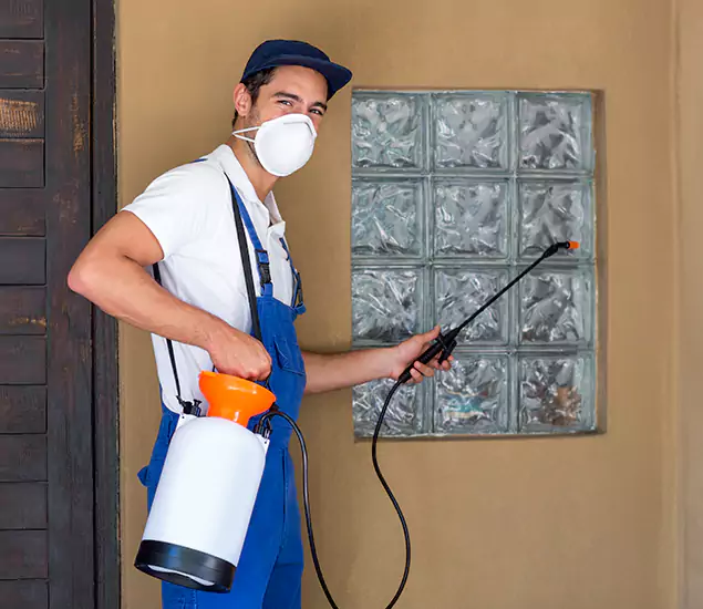 About Heat Treatment for Termites Experts in White City, OR