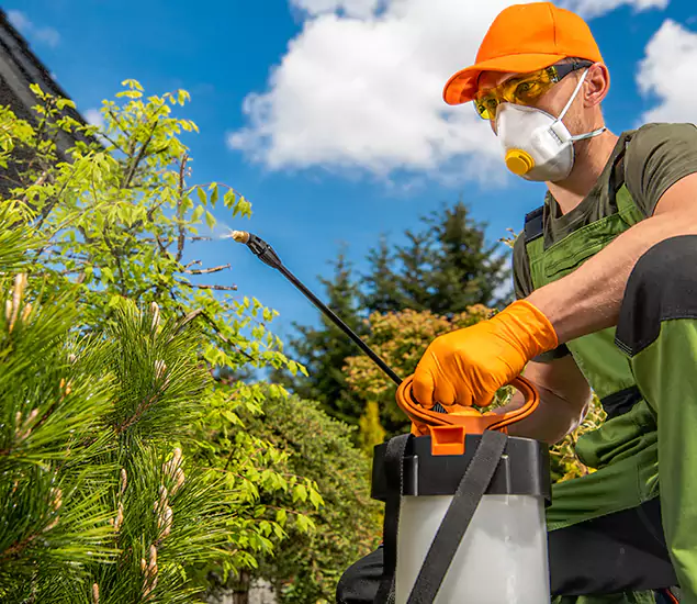 Your Best Bug Spray for Home Team in White City, OR