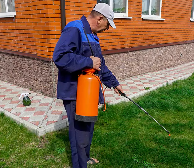 Your Yellow Jacket Pest Control Experts in White City, OR
