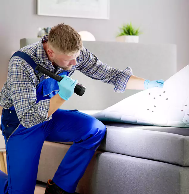 Why Choose White City Pest Control Pro For Bed Bug Heat Treatment in White City, OR?
